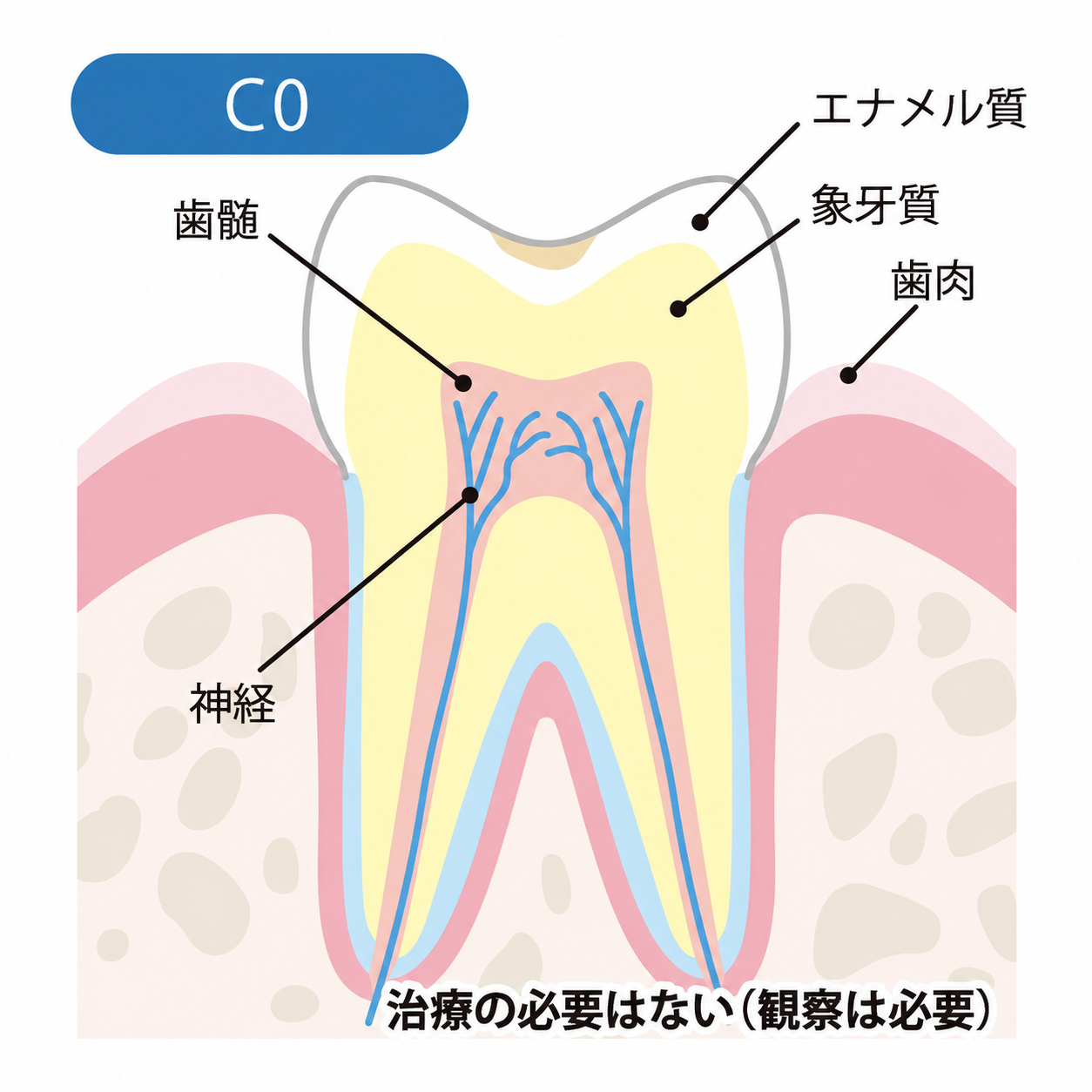 赤尾歯科クリニック