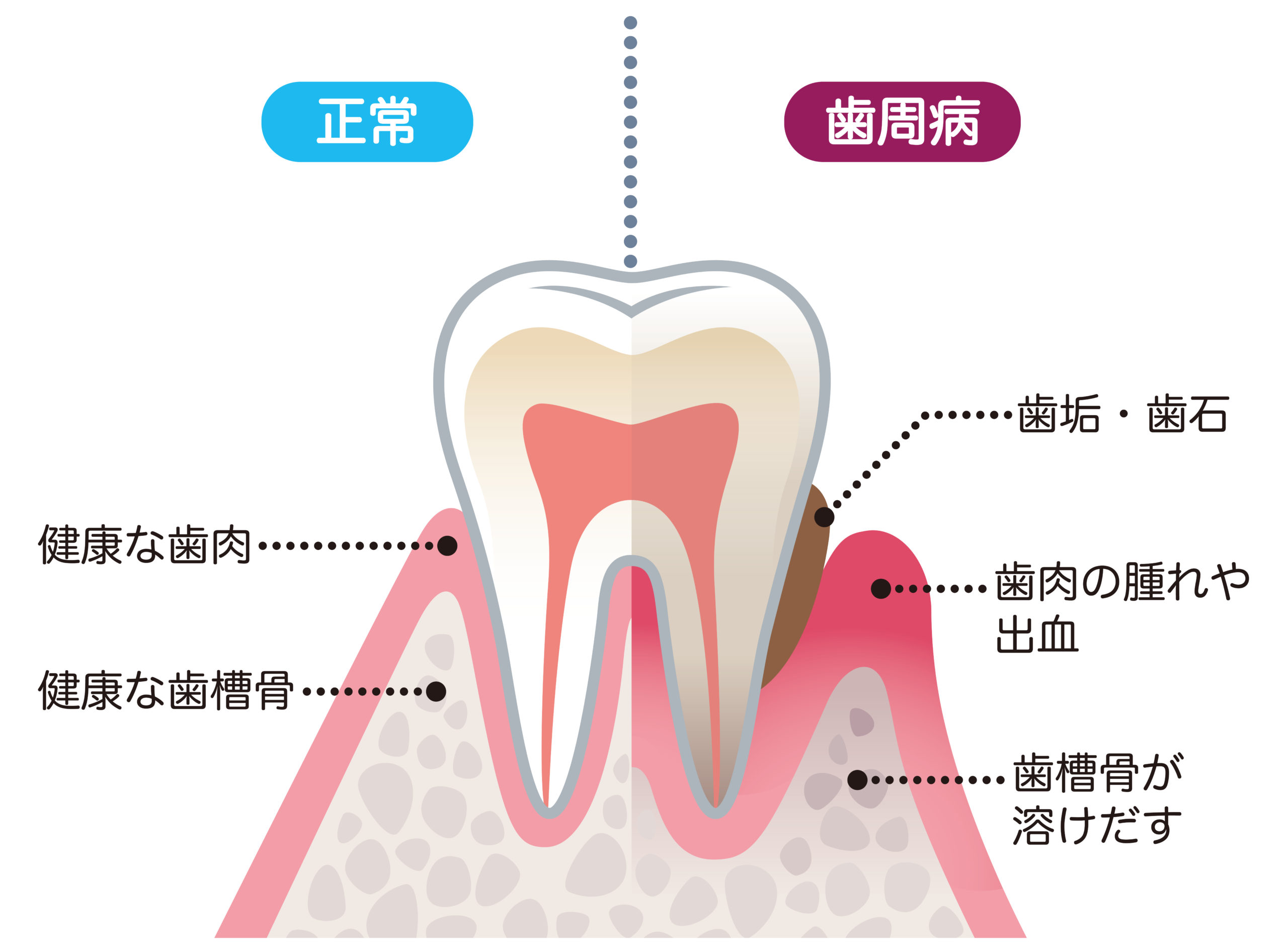 赤尾歯科クリニック